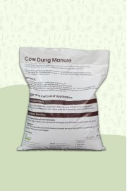 COW DUNG POWDER