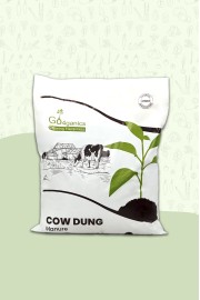 COW DUNG POWDER