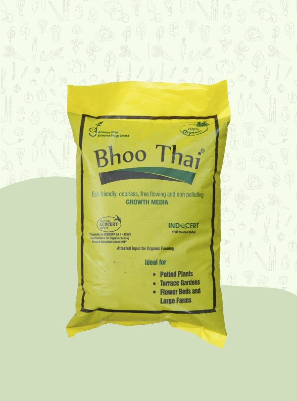 BHOO THAI